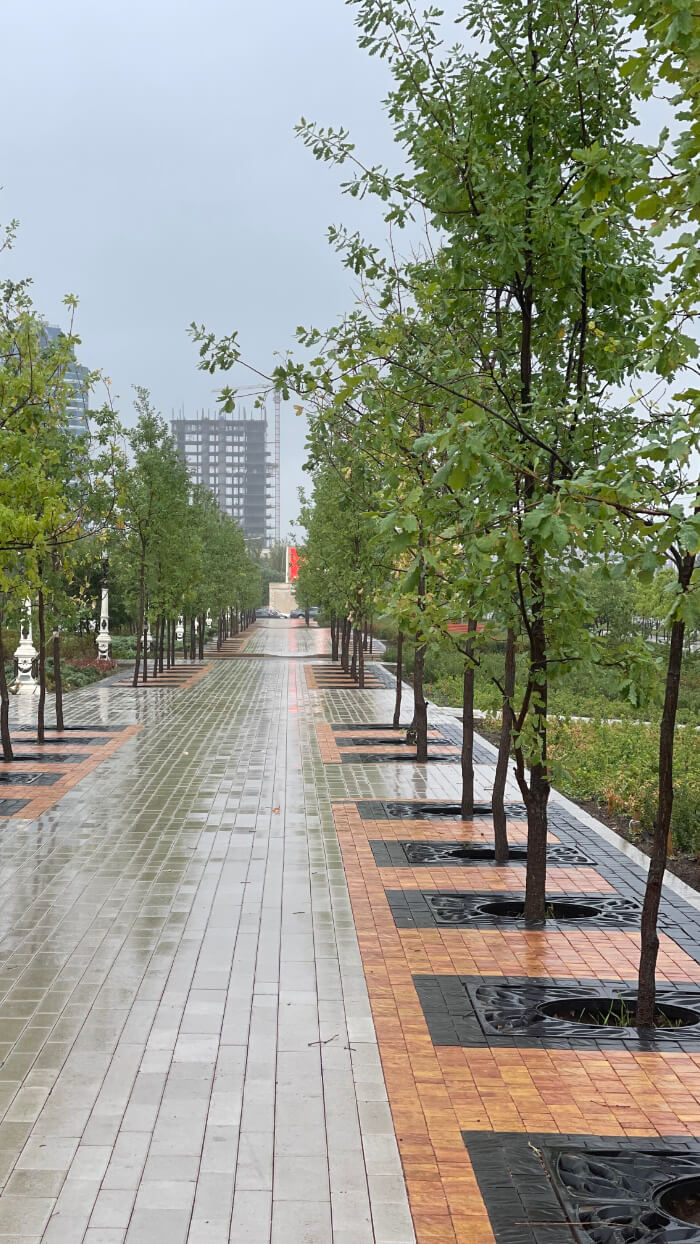 Приствольная решетка для дерева ZKING CRUST 1.2х1.2м Черная в Вологде фото