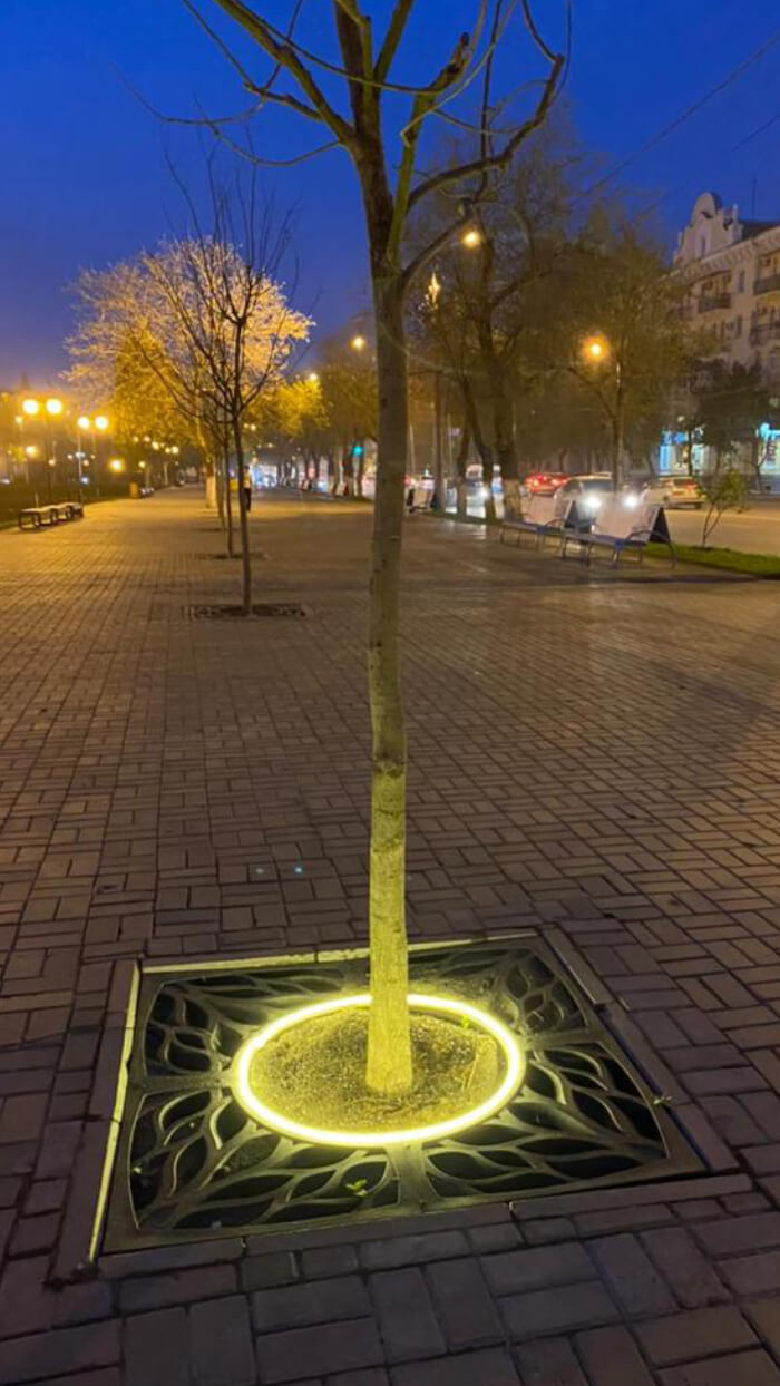 Приствольная решетка для дерева ZKING CRUST 1.2х1.2м Черная в Вологде фото